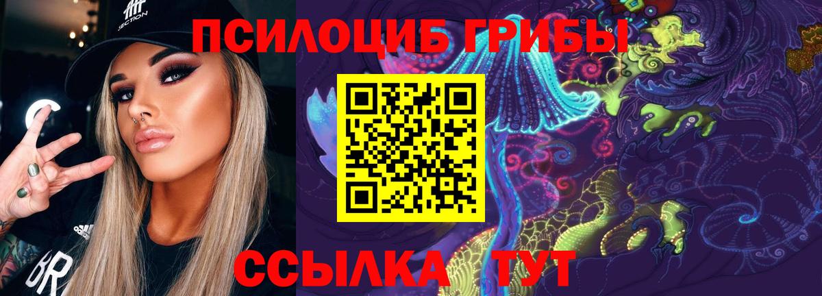 Псилоцибиновые грибы GOLDEN TEACHER Тосно