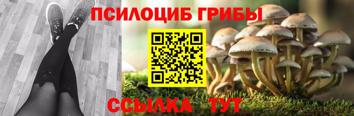 Тосно  Псилоцибиновые грибы Psilocybine cubensis  Вход с VPN  Псилоцибиновые грибы мухоморы 